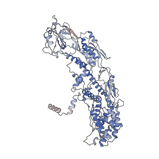 20089_6oj6_J_v1-4
In situ structure of rotavirus VP1 RNA-dependent RNA polymerase (DLP_RNA)