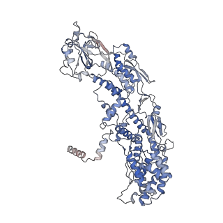 20089_6oj6_J_v1-5
In situ structure of rotavirus VP1 RNA-dependent RNA polymerase (DLP_RNA)