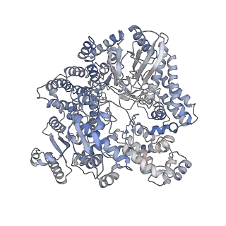 20089_6oj6_P_v1-4
In situ structure of rotavirus VP1 RNA-dependent RNA polymerase (DLP_RNA)