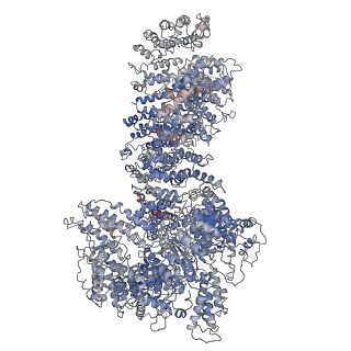 3824_5ojs_T_v1-4
Cryo-EM structure of the SAGA and NuA4 coactivator subunit Tra1