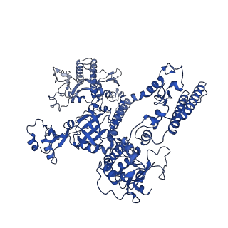 12960_7ok0_A_v1-1
Cryo-EM structure of the Sulfolobus acidocaldarius RNA polymerase at 2.88 A