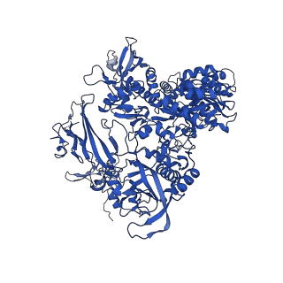 12960_7ok0_B_v1-1
Cryo-EM structure of the Sulfolobus acidocaldarius RNA polymerase at 2.88 A
