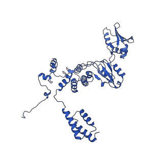 12960_7ok0_C_v1-1
Cryo-EM structure of the Sulfolobus acidocaldarius RNA polymerase at 2.88 A