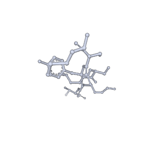 12960_7ok0_F_v1-1
Cryo-EM structure of the Sulfolobus acidocaldarius RNA polymerase at 2.88 A