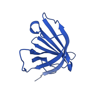 12960_7ok0_G_v1-1
Cryo-EM structure of the Sulfolobus acidocaldarius RNA polymerase at 2.88 A