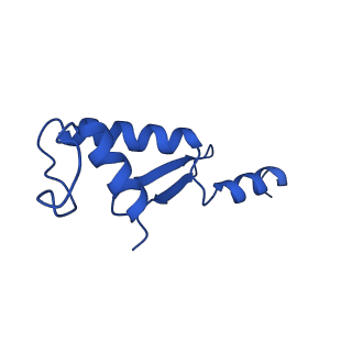 12960_7ok0_K_v1-1
Cryo-EM structure of the Sulfolobus acidocaldarius RNA polymerase at 2.88 A