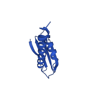 12960_7ok0_L_v1-1
Cryo-EM structure of the Sulfolobus acidocaldarius RNA polymerase at 2.88 A
