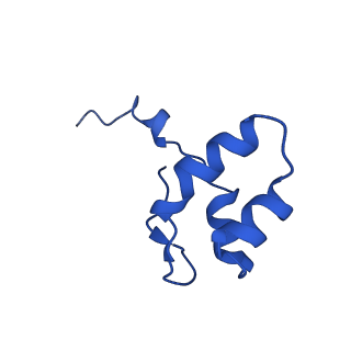 12960_7ok0_N_v1-1
Cryo-EM structure of the Sulfolobus acidocaldarius RNA polymerase at 2.88 A