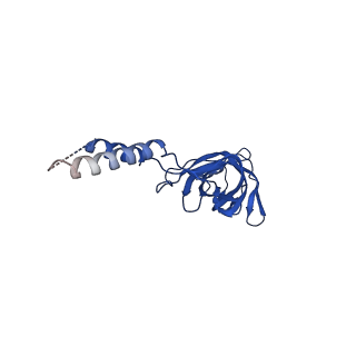 12962_7okn_E_v1-1
Structure of the outer-membrane core complex (inner ring) from a conjugative type IV secretion system