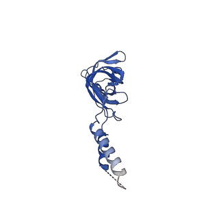 12962_7okn_M_v1-1
Structure of the outer-membrane core complex (inner ring) from a conjugative type IV secretion system