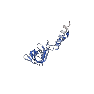 12962_7okn_Y_v1-1
Structure of the outer-membrane core complex (inner ring) from a conjugative type IV secretion system