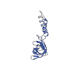 12962_7okn_c_v1-1
Structure of the outer-membrane core complex (inner ring) from a conjugative type IV secretion system