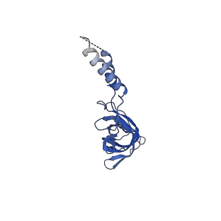 12962_7okn_e_v1-1
Structure of the outer-membrane core complex (inner ring) from a conjugative type IV secretion system