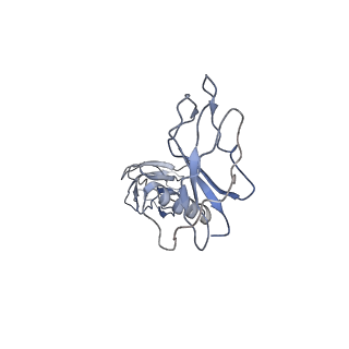 12963_7oko_Q_v1-0
Structure of the outer-membrane core complex (outer ring) from a conjugative type IV secretion system