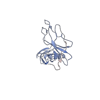 12963_7oko_V_v1-0
Structure of the outer-membrane core complex (outer ring) from a conjugative type IV secretion system