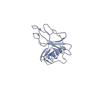 12963_7oko_a_v1-0
Structure of the outer-membrane core complex (outer ring) from a conjugative type IV secretion system