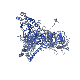 12969_7okx_A_v1-3
Structure of active transcription elongation complex Pol II-DSIF (SPT5-KOW5)-ELL2-EAF1 (composite structure)