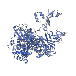 12969_7okx_B_v1-3
Structure of active transcription elongation complex Pol II-DSIF (SPT5-KOW5)-ELL2-EAF1 (composite structure)