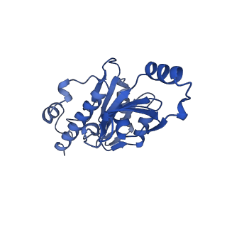 12969_7okx_E_v1-3
Structure of active transcription elongation complex Pol II-DSIF (SPT5-KOW5)-ELL2-EAF1 (composite structure)