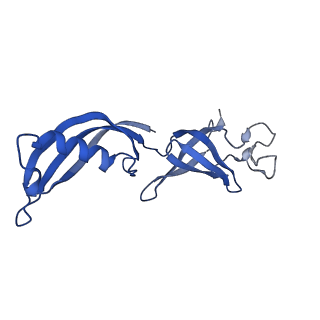 12969_7okx_G_v1-3
Structure of active transcription elongation complex Pol II-DSIF (SPT5-KOW5)-ELL2-EAF1 (composite structure)
