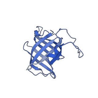 12969_7okx_H_v1-3
Structure of active transcription elongation complex Pol II-DSIF (SPT5-KOW5)-ELL2-EAF1 (composite structure)