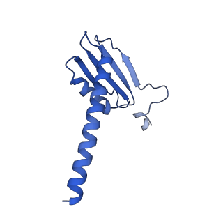 12969_7okx_K_v1-3
Structure of active transcription elongation complex Pol II-DSIF (SPT5-KOW5)-ELL2-EAF1 (composite structure)