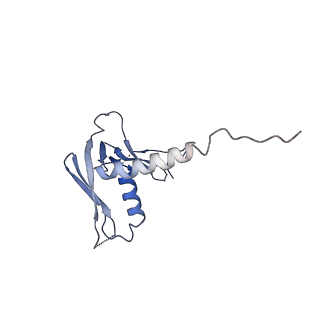 12969_7okx_M_v1-3
Structure of active transcription elongation complex Pol II-DSIF (SPT5-KOW5)-ELL2-EAF1 (composite structure)