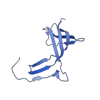 12969_7okx_O_v1-3
Structure of active transcription elongation complex Pol II-DSIF (SPT5-KOW5)-ELL2-EAF1 (composite structure)