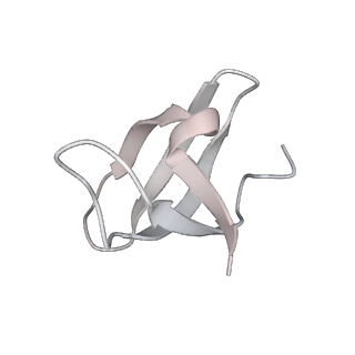 12969_7okx_Z_v1-3
Structure of active transcription elongation complex Pol II-DSIF (SPT5-KOW5)-ELL2-EAF1 (composite structure)