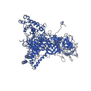 12973_7oky_A_v1-3
Structure of active transcription elongation complex Pol II-DSIF-ELL2-EAF1(composite structure)
