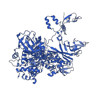12973_7oky_B_v1-3
Structure of active transcription elongation complex Pol II-DSIF-ELL2-EAF1(composite structure)