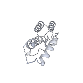 12973_7oky_D_v1-3
Structure of active transcription elongation complex Pol II-DSIF-ELL2-EAF1(composite structure)