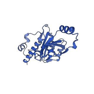 12973_7oky_E_v1-3
Structure of active transcription elongation complex Pol II-DSIF-ELL2-EAF1(composite structure)