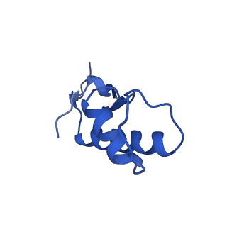 12973_7oky_F_v1-3
Structure of active transcription elongation complex Pol II-DSIF-ELL2-EAF1(composite structure)