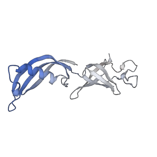 12973_7oky_G_v1-3
Structure of active transcription elongation complex Pol II-DSIF-ELL2-EAF1(composite structure)