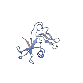 12973_7oky_I_v1-3
Structure of active transcription elongation complex Pol II-DSIF-ELL2-EAF1(composite structure)