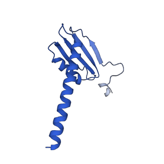 12973_7oky_K_v1-3
Structure of active transcription elongation complex Pol II-DSIF-ELL2-EAF1(composite structure)