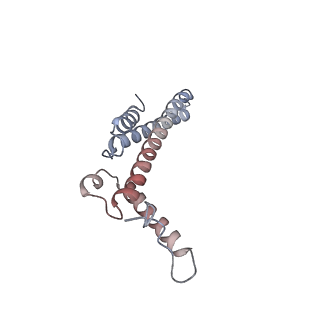 16916_8ok2_A_v1-0
Bipartite interaction of TOPBP1 with the GINS complex