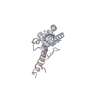 16916_8ok2_C_v1-0
Bipartite interaction of TOPBP1 with the GINS complex