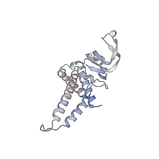 16916_8ok2_D_v1-0
Bipartite interaction of TOPBP1 with the GINS complex