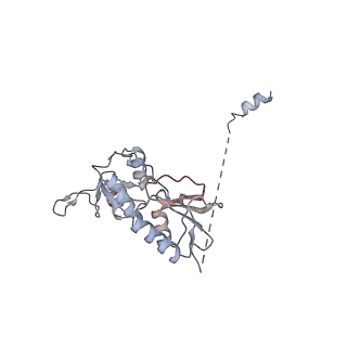 16916_8ok2_E_v1-0
Bipartite interaction of TOPBP1 with the GINS complex