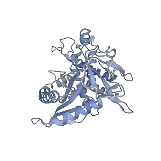 16933_8okx_A_v1-1
Structure of cGAS in complex with SPSB3-ELOBC