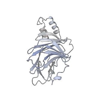 16933_8okx_B_v1-1
Structure of cGAS in complex with SPSB3-ELOBC