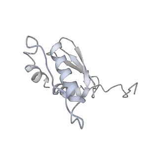 16933_8okx_C_v1-1
Structure of cGAS in complex with SPSB3-ELOBC