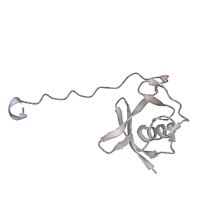 16933_8okx_D_v1-1
Structure of cGAS in complex with SPSB3-ELOBC