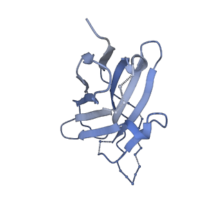 20100_6okp_Q_v1-2
B41 SOSIP.664 in complex with the silent-face antibody SF12 and V3-targeting antibody 10-1074