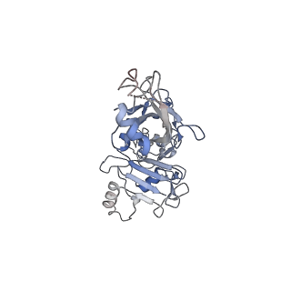 20102_6okr_B_v1-2
CDTb Pre-Insertion form Modeled from Cryo-EM Map Reconstructed using C7 Symmetry