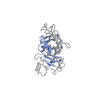 20102_6okr_B_v1-3
CDTb Pre-Insertion form Modeled from Cryo-EM Map Reconstructed using C7 Symmetry