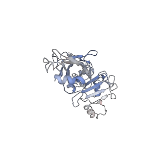 20102_6okr_D_v1-2
CDTb Pre-Insertion form Modeled from Cryo-EM Map Reconstructed using C7 Symmetry