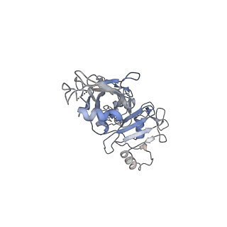 20102_6okr_D_v1-3
CDTb Pre-Insertion form Modeled from Cryo-EM Map Reconstructed using C7 Symmetry